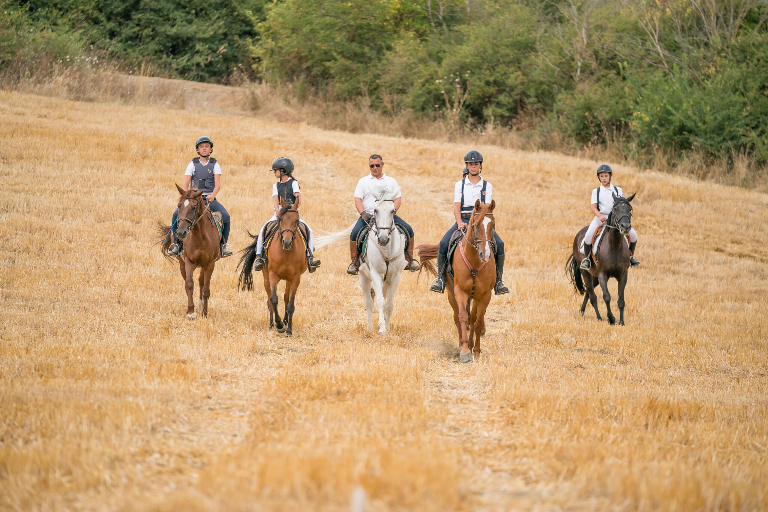 1FO2121-copia-scaled