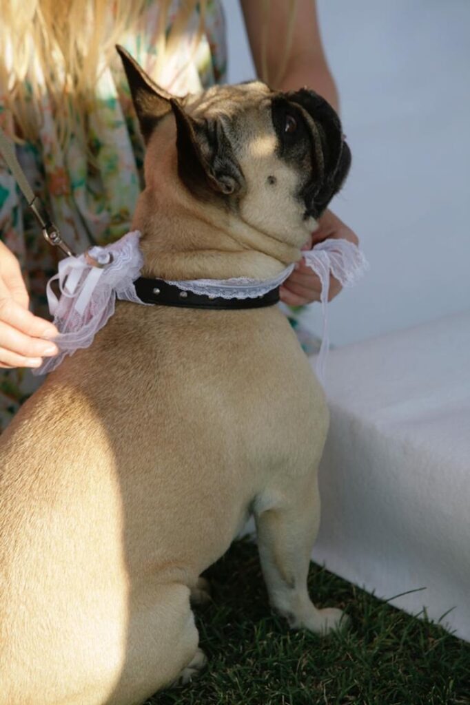 il_poggio_matrimoni_gallery-6-682x1024