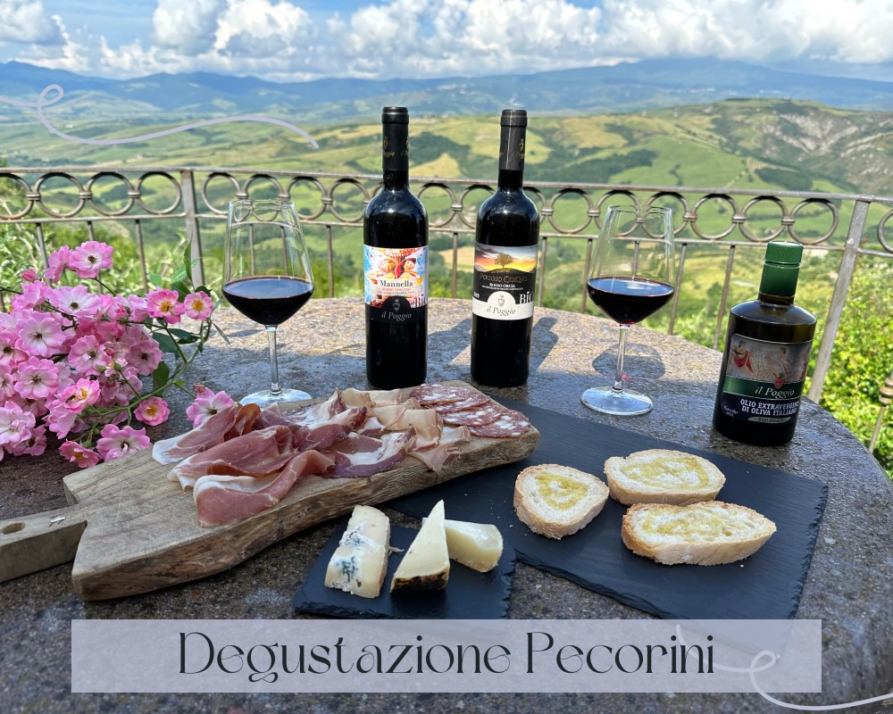 Degustazione salumi e pecorini